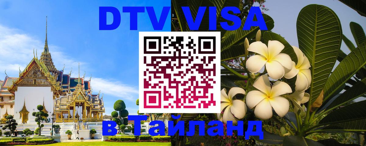Оформление DTV визы под ключ: стоимость и тарифы, только загранпаспорт - Великий Новгород 